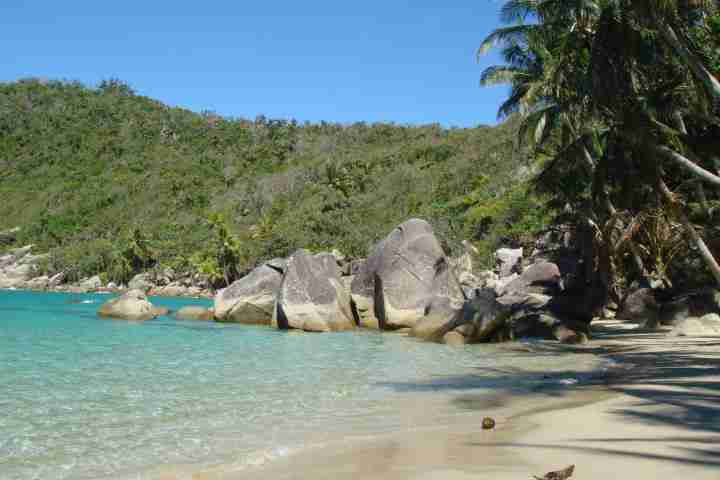 Bedarra Island Beach with clear blue water and palm trees