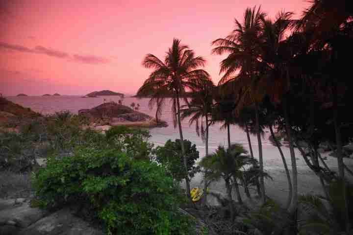 Sunset over Bedarra Island and Silhouetted Palm Trees