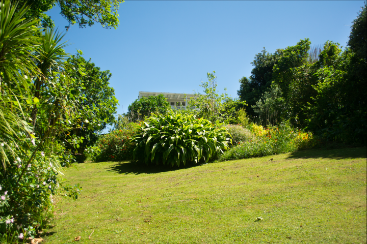 Large lawn and garden area for entertaining children and guests at Oneroa cottage