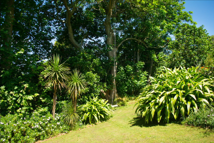 Unlimited Waiheke bush and garden area in Oneroa cottage