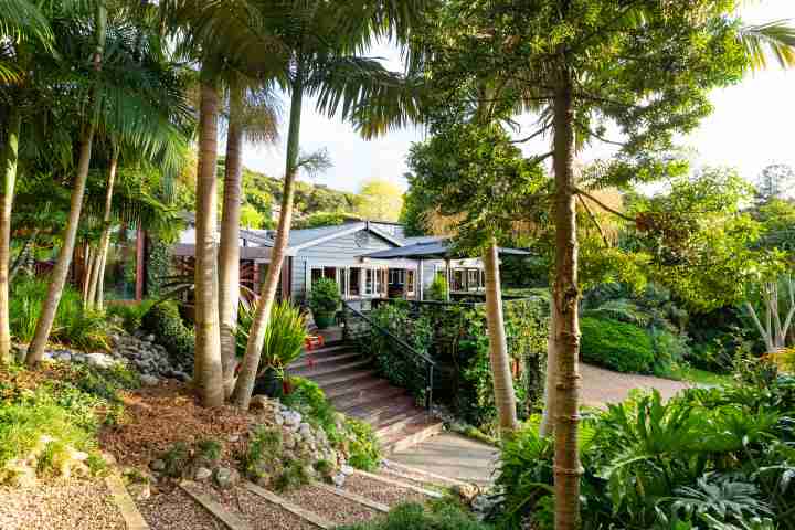 Kauri Springs Lodge Exterior 3