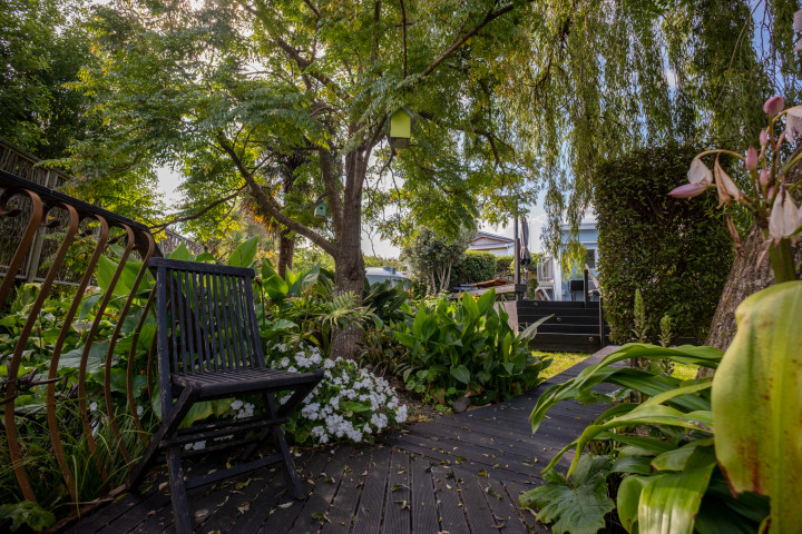 Oneroa Garden Retreat shaded garden