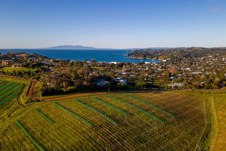 Oriwa Villa by Waiheke Unlimited vineyards and olive groves