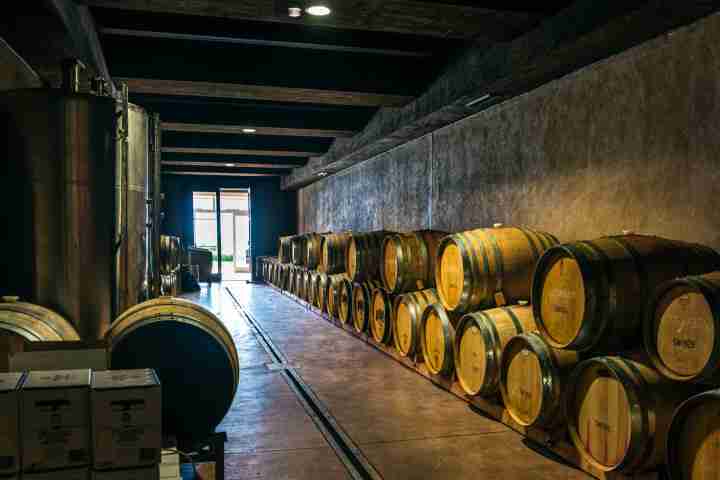 Wine Barrels, Private Vineyard on Te Rere Estate, Waiheke Island